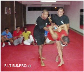 Cliquer ici pour voir cet organisme de formation professionnelle EFPR - la F.I.T.B.S. PRO � la R�union