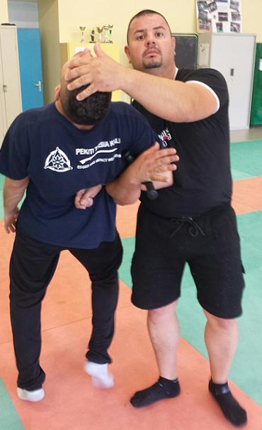 Cliquer ici pour voir le STAGE de formation d'instructeurs F.I.T.B.S. PRO en Tonfa Bâton et Self Défense PRO Gestes Techniques Professionnelles d'Interventions et de protections de Police - GTPI : Du Lundi 18 au Samedi 23 Mai 2015 inclus, 6 jours bloqués en FRANCE à Alès (30)