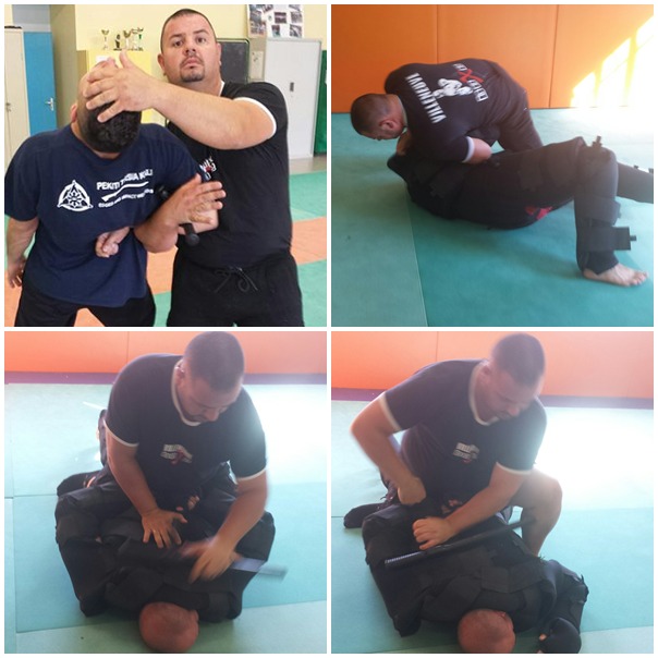 Cliquer ici pour voir le STAGE de formation d'instructeurs F.I.T.B.S. PRO en Tonfa Bâton et Self Défense PRO Gestes Techniques Professionnelles d'Interventions et de protections de Police - GTPI : Du Lundi 18 au Samedi 23 Mai 2015 inclus, 6 jours bloqués en FRANCE à Alès (30)