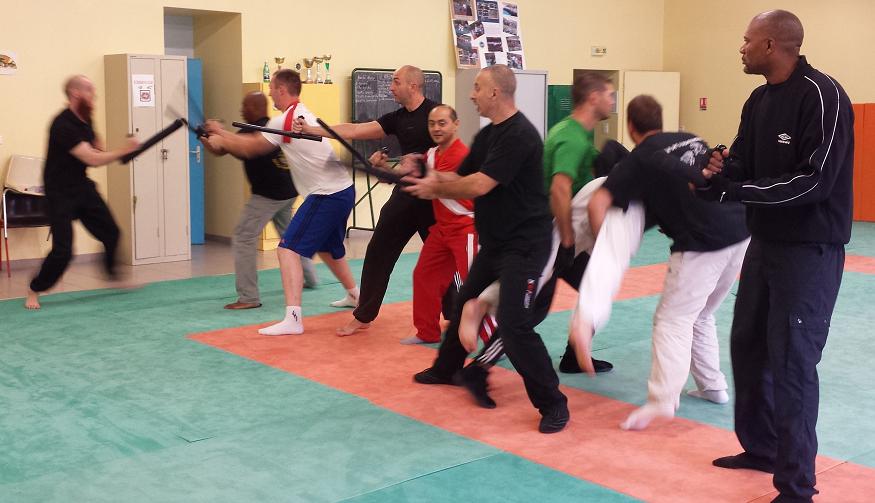 STAGE de formation d'instructeurs F.I.T.B.S. PRO en Tonfa Bâton et Self Défense PRO Gestes Techniques Professionnelles d'Interventions et de protections de Police - GTPI : Du Lundi 03 au Samedi 08 Novembre 2014 inclus, 6 jours bloqués en FRANCE à Alès (30)