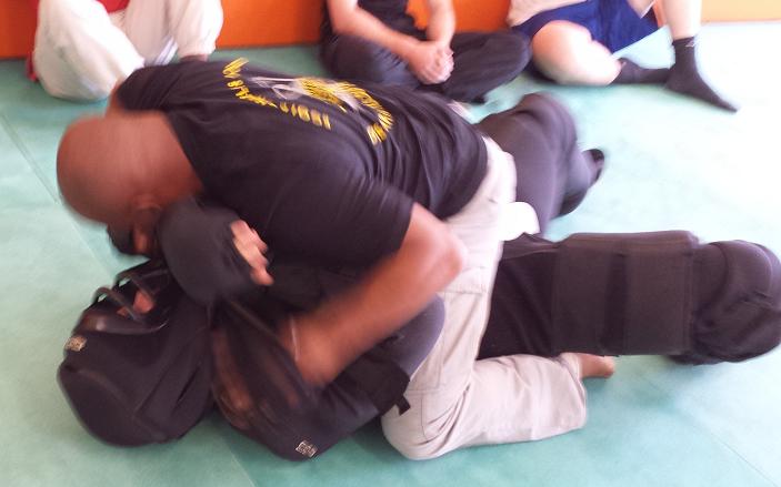 STAGE de formation d'instructeurs F.I.T.B.S. PRO en Tonfa Bâton et Self Défense PRO Gestes Techniques Professionnelles d'Interventions et de protections de Police - GTPI : Du Lundi 03 au Samedi 08 Novembre 2014 inclus, 6 jours bloqués en FRANCE à Alès (30)