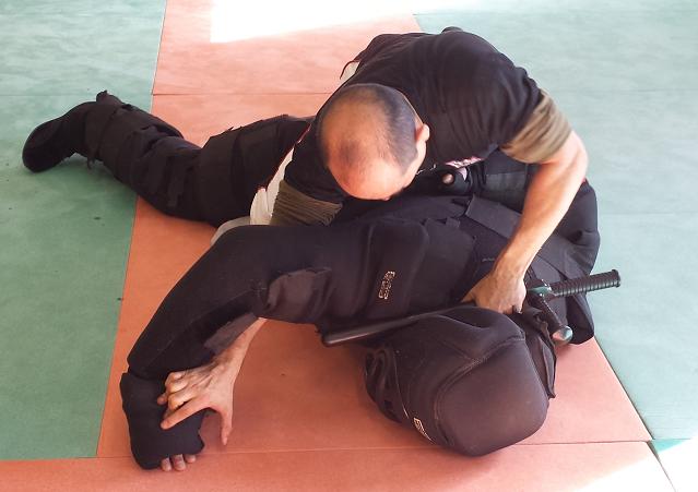 STAGE de formation d'instructeurs F.I.T.B.S. PRO en Tonfa Bâton et Self Défense PRO Gestes Techniques Professionnelles d'Interventions et de protections de Police - GTPI : Du Lundi 03 au Samedi 08 Novembre 2014 inclus, 6 jours bloqués en FRANCE à Alès (30)