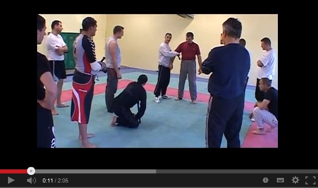 Cliquer ici pour voir Fayad dans le reportage ralis par Web TV Als (Cvennes) sur cette formation d'instructeurs F.I.T.B.S. PRO  en Tonfa Bton tlescopique tactique et  Self Dfense PRO GTPI le 20/02/2008